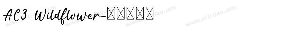 AC3 Wildflower字体转换